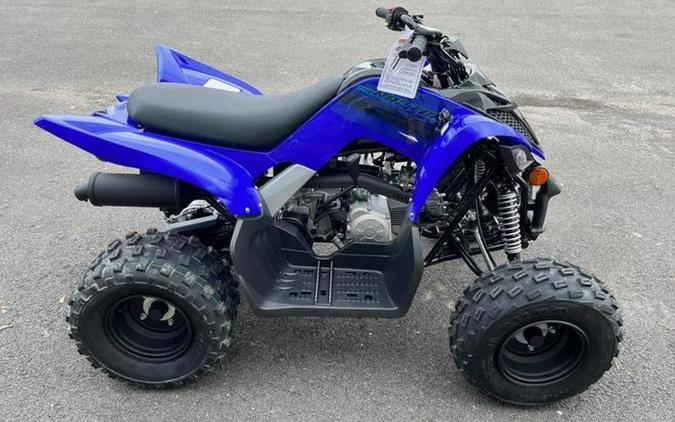 2024 Yamaha Raptor 110