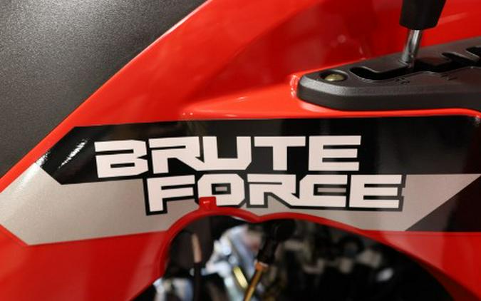 2026 Kawasaki Brute Force® 300