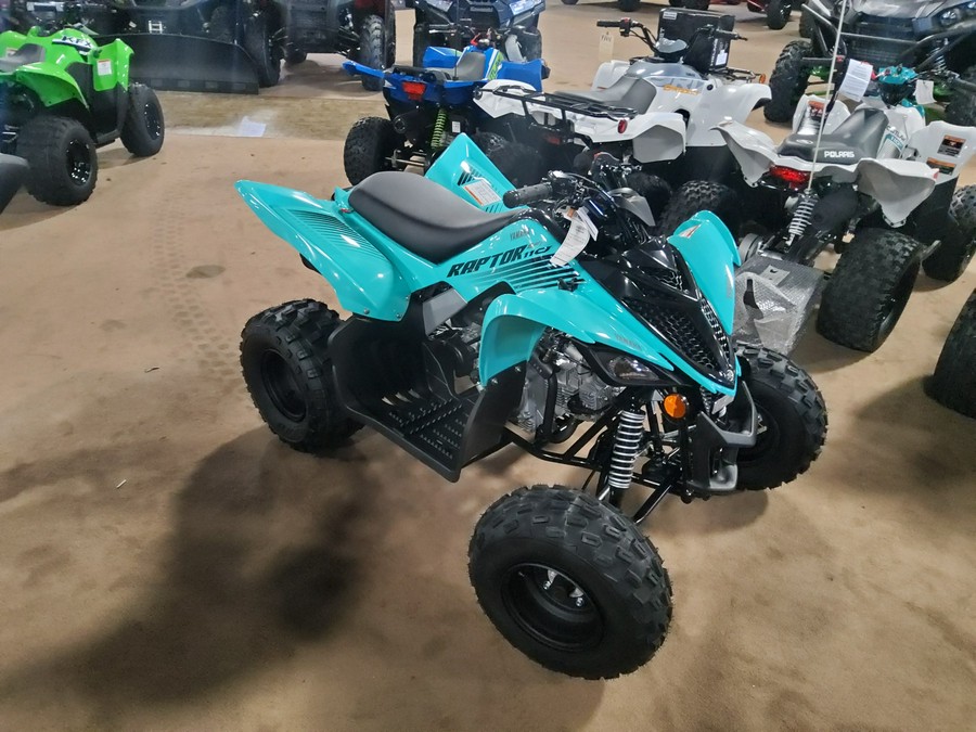 2024 Yamaha Raptor 110