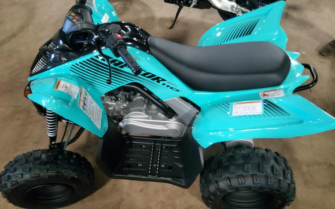 2024 Yamaha Raptor 110