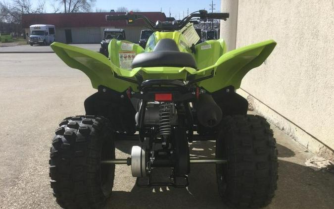 2026 Yamaha Raptor 110