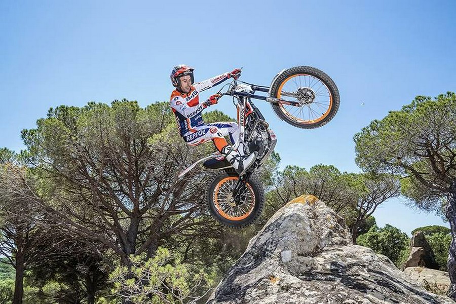 2024 Honda MONTESA COTA 4RT 301RR