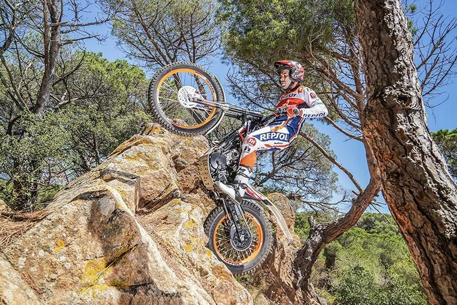 2024 Honda MONTESA COTA 4RT 301RR