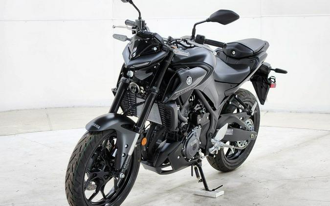 2025 Yamaha MT-03