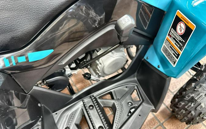 2026 Can-Am RENEGADE 2X4 110-4ST EFI