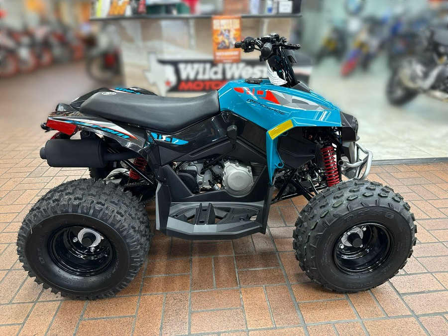 2026 Can-Am RENEGADE 2X4 110-4ST EFI