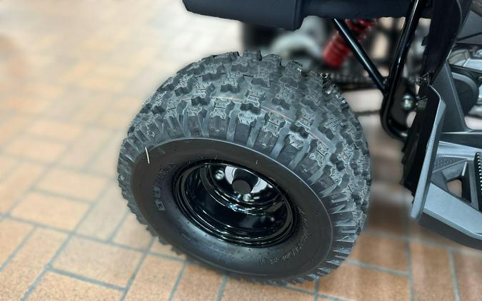 2026 Can-Am RENEGADE 2X4 110-4ST EFI