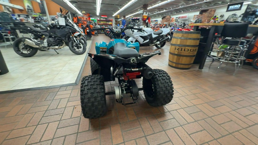 2026 Can-Am RENEGADE 2X4 110-4ST EFI