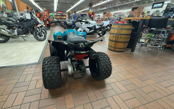 2026 Can-Am RENEGADE 2X4 110-4ST EFI
