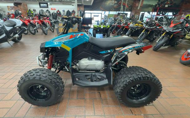 2026 Can-Am RENEGADE 2X4 110-4ST EFI