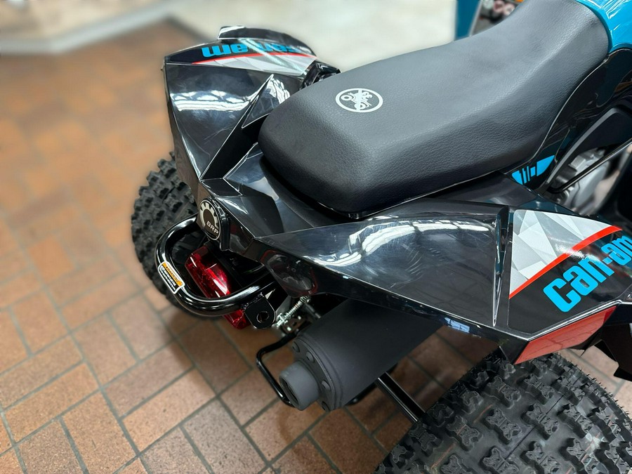 2026 Can-Am RENEGADE 2X4 110-4ST EFI