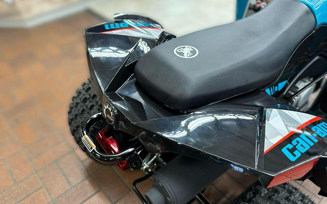 2026 Can-Am RENEGADE 2X4 110-4ST EFI