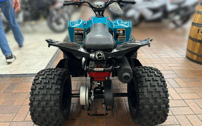2026 Can-Am RENEGADE 2X4 110-4ST EFI