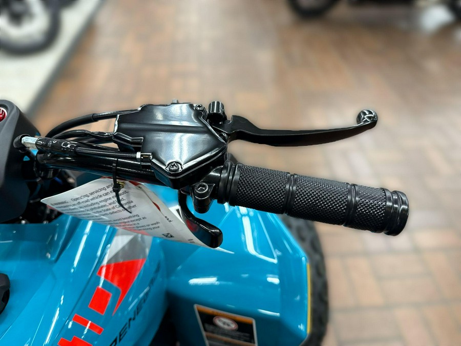 2026 Can-Am RENEGADE 2X4 110-4ST EFI