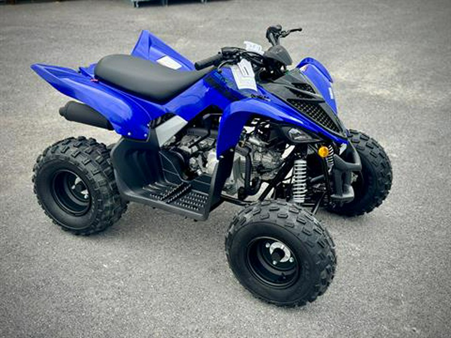 2025 Yamaha Raptor 110