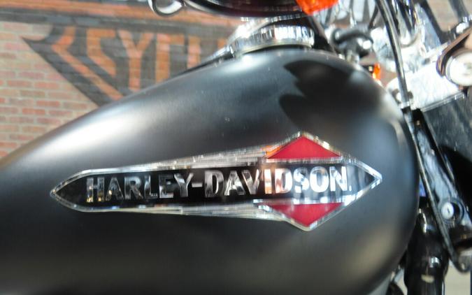 2020 Harley-Davidson® FLSL Softail Slim®