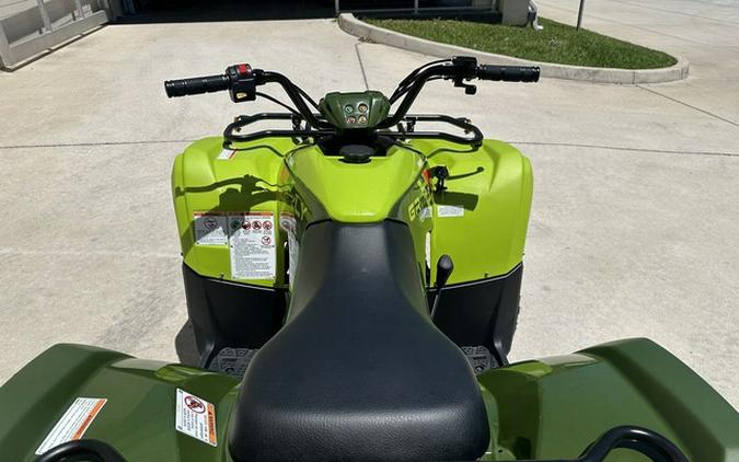 2026 Yamaha Grizzly 110