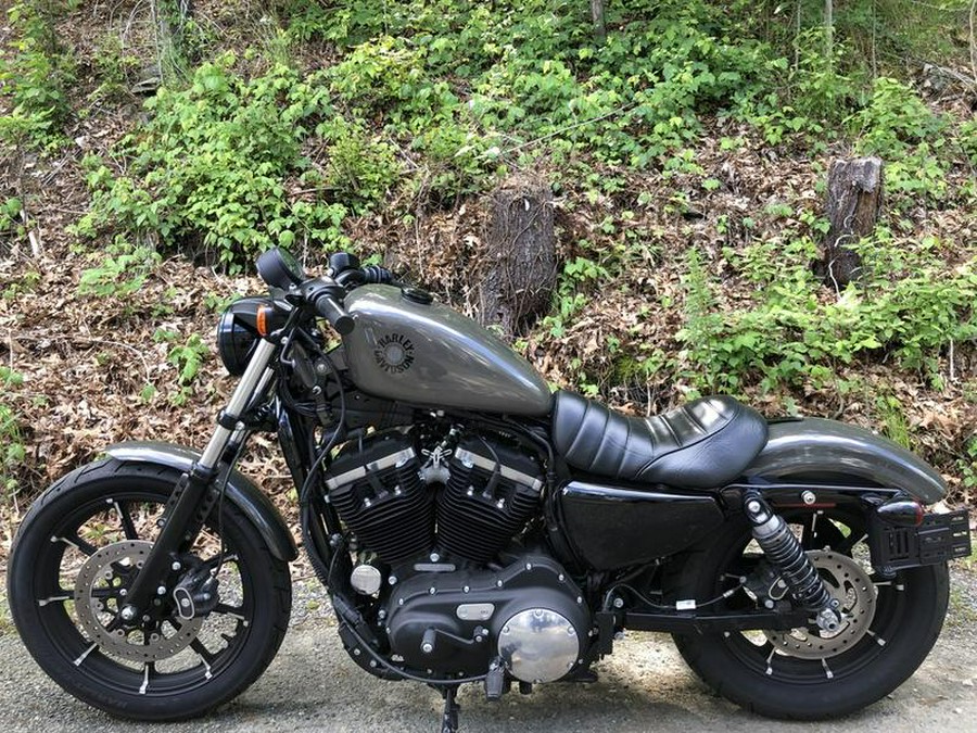 2019 Harley-Davidson® XL 883N - Sportster® Iron 883™