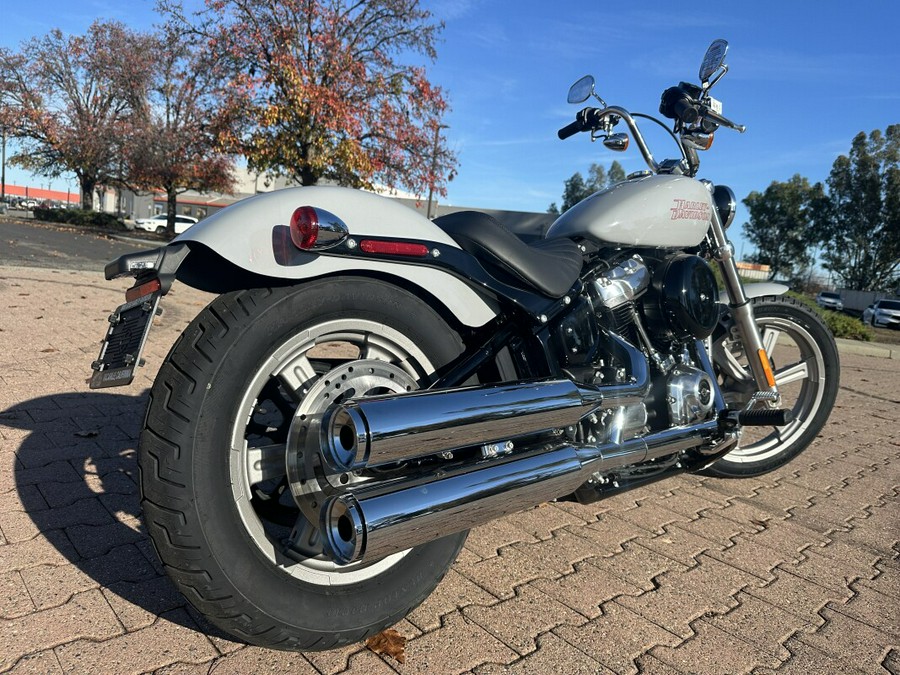 FXST 2024 Softail Standard