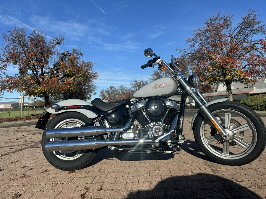 FXST 2024 Softail Standard