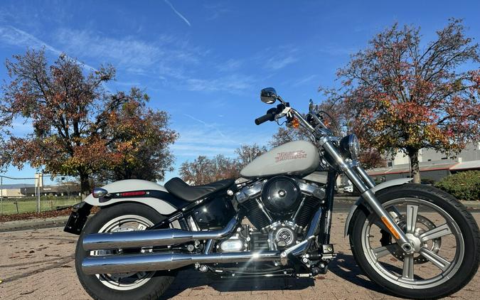 FXST 2024 Softail Standard