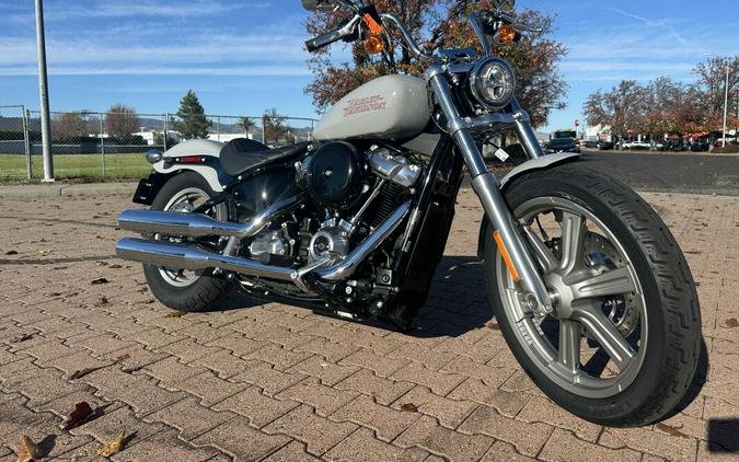 FXST 2024 Softail Standard