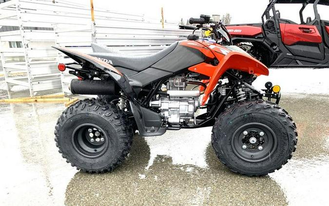 2024 Honda® TRX250X