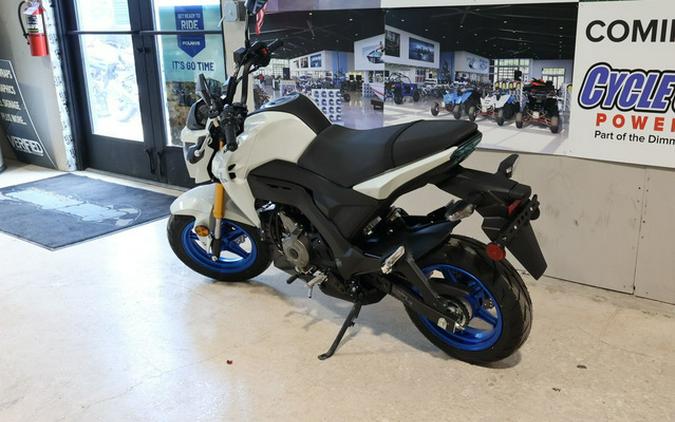 2026 Kawasaki Z125 PRO