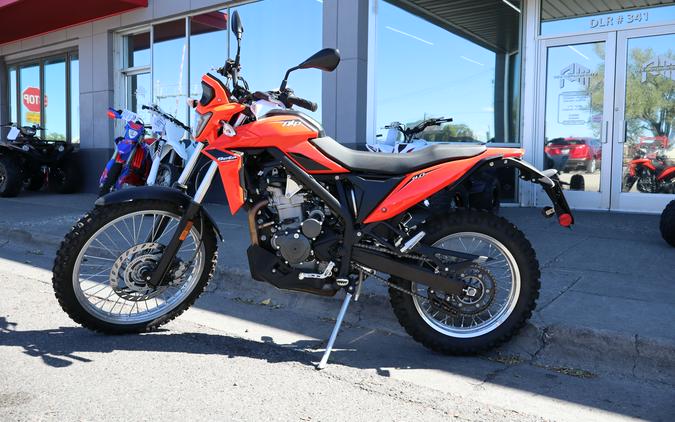 2026 Beta Motorcycles 350 Alp 4.0