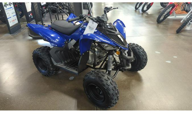 2026 Yamaha RAPTOR 110