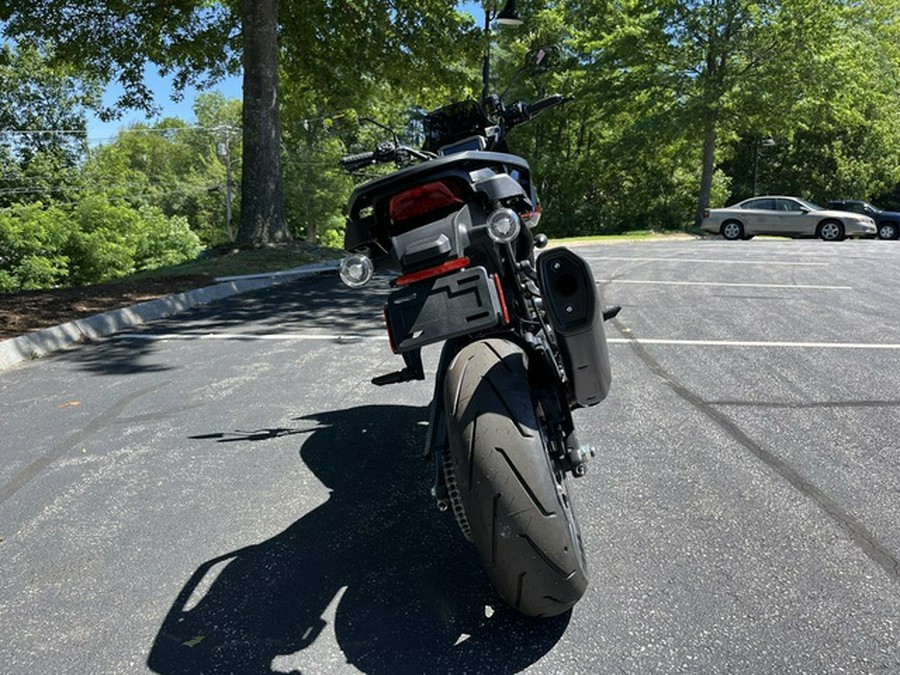 2025 Harley-Davidson RA1250ST - Pan America 1250 ST