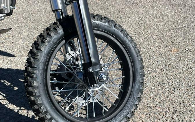 2025 SSR Motorsports SR110 SE