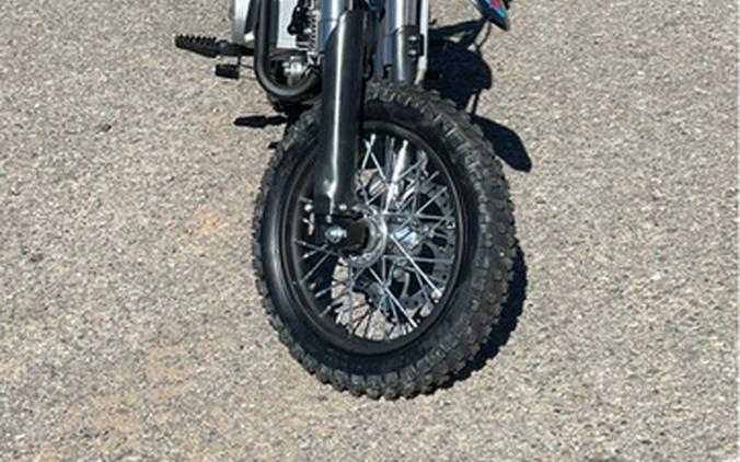 2025 SSR Motorsports SR110 SE
