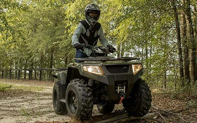 2021 Arctic Cat Alterra 450