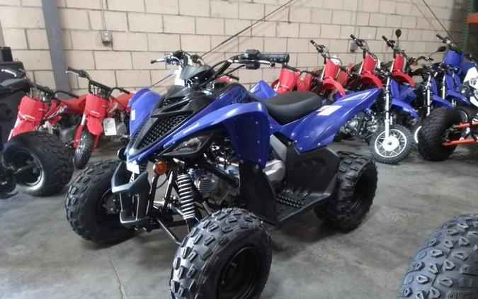 2024 Yamaha Raptor 110