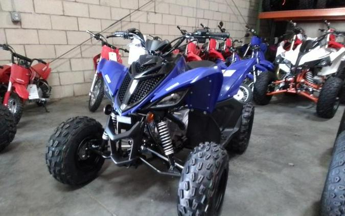 2024 Yamaha Raptor 110