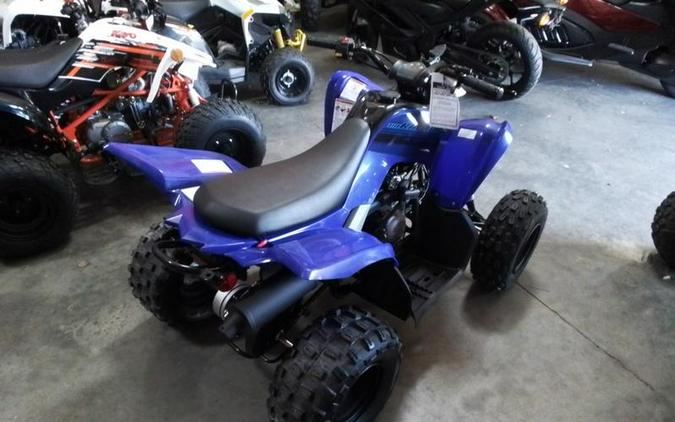 2024 Yamaha Raptor 110