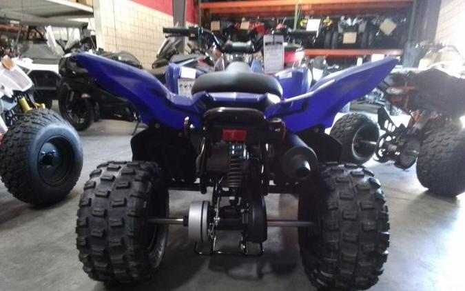 2024 Yamaha Raptor 110