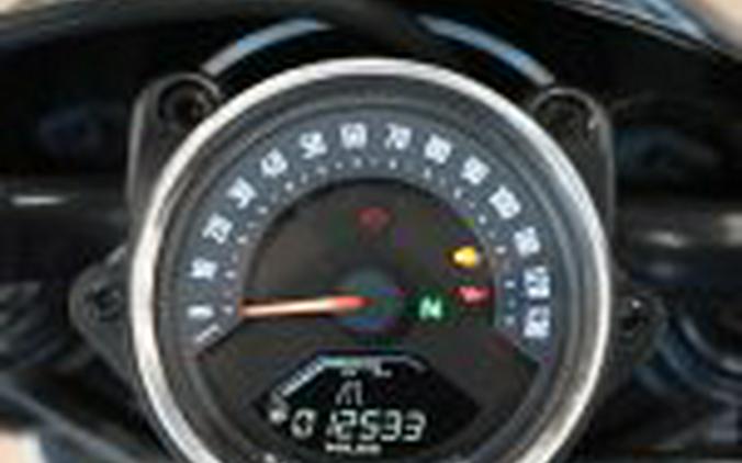 2022 Harley Davidson Nightster 975