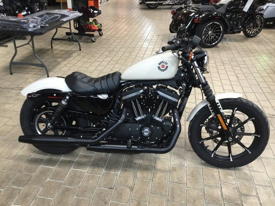 2022 HarleyDavidson® Iron 883™ White Sand Pearl for sale in Adams