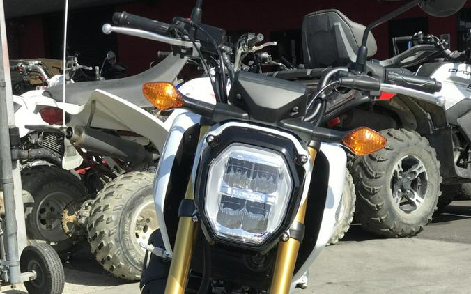 2024 Honda Grom