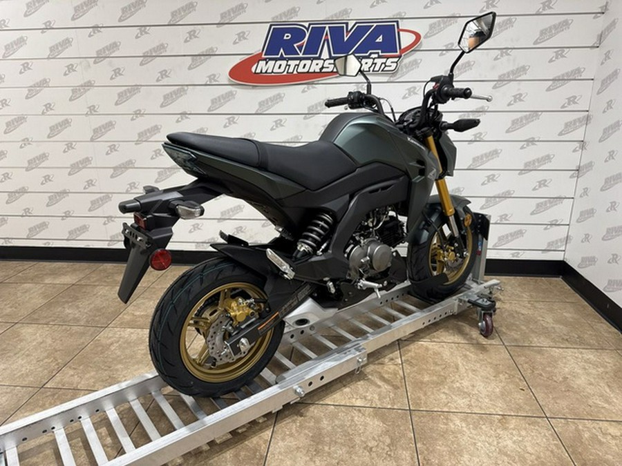 2025 Kawasaki Z125 PRO