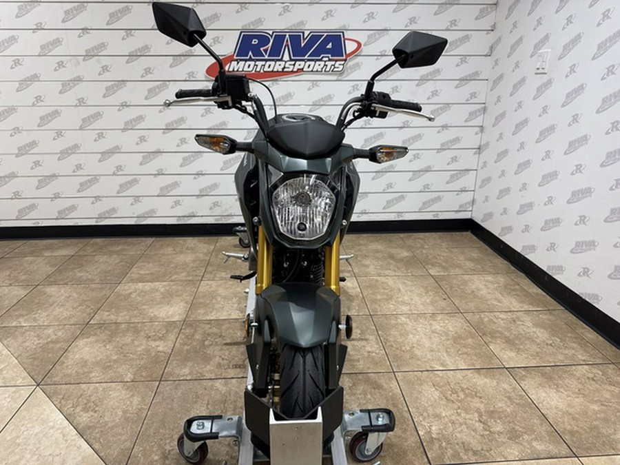 2025 Kawasaki Z125 PRO