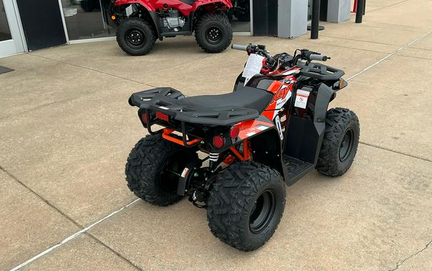 2026 Kayo BULL 110