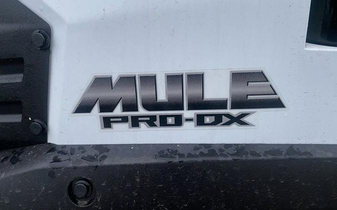 2025 Kawasaki Mule PRO-DX EPS