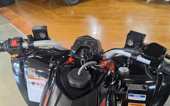 2026 Can-Am DS 250