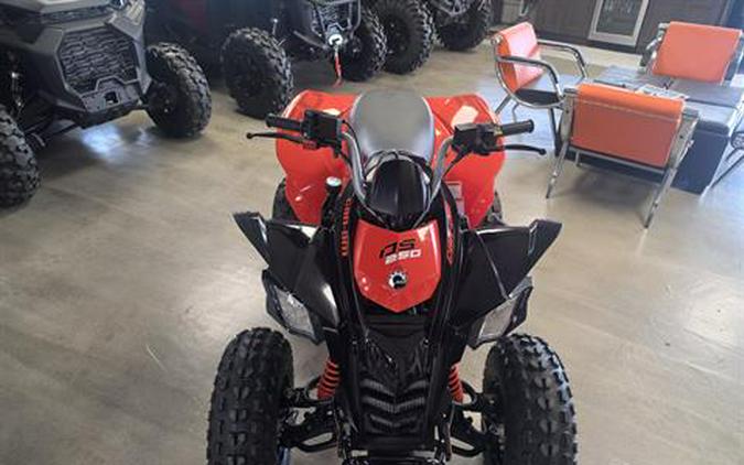 2026 Can-Am DS 250