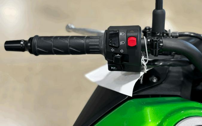 2025 Kawasaki Versys®-X 300 ABS