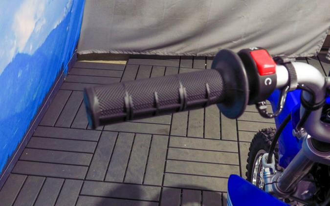 2027 Yamaha TT-R110E