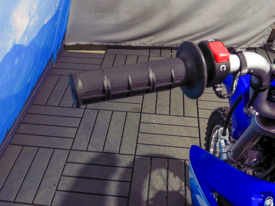 2027 Yamaha TT-R110E